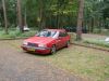 DSC02578.jpg