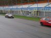 NT-vijverberg25.jpg