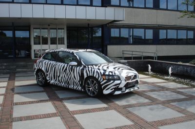 c30_zebra_2_144.jpg
