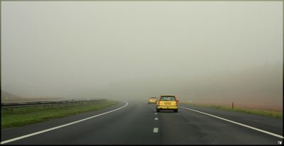 cy-fog.jpg