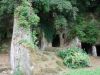 DSC04650.jpg