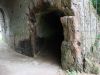 DSC04677.jpg