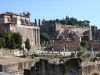 DSC04883.jpg