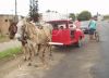 Two-Horse-Power-Car.jpg