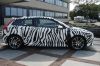 c30_zebra_1_161.jpg