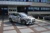 c30_zebra_2_144.jpg