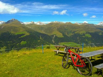 020920121848_28Large29.jpg