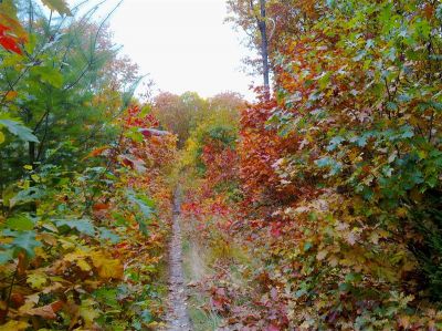 201020122027_28Custom29.jpg