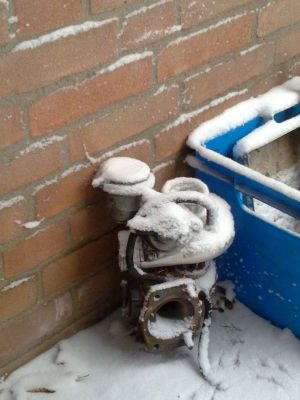 20122009369med.jpg