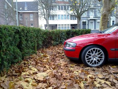 21112009320medium.jpg