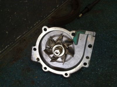 26112009324medium.jpg