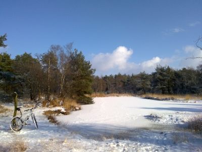 30012010515.jpg