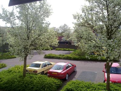 300420132457.jpg