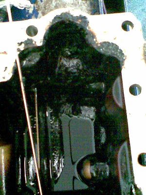 Afb307.jpg