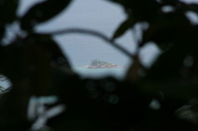 IMG_0227.JPG