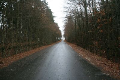 IMG_2127.jpg