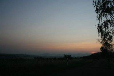 IMG_3626_(Medium).JPG