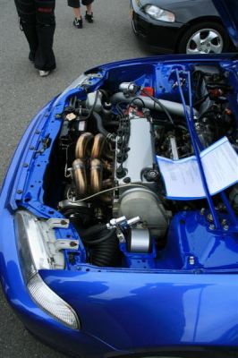 IMG_3823_(Medium).JPG