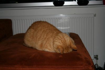 IMG_4159_(Medium).JPG
