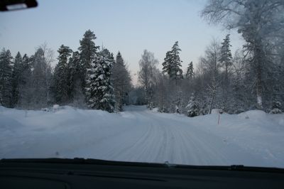 IMG_6445.jpg