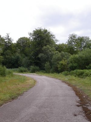 PICT0004.jpg