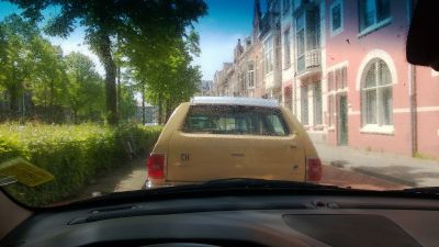 WP_20130519_002.jpg