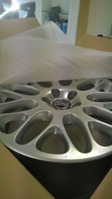 WP_20140311_010.jpg