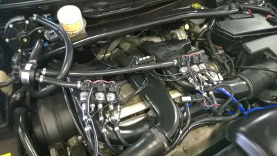 WP_20140502_002.jpg