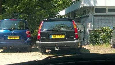 WP_20150612_002.jpg
