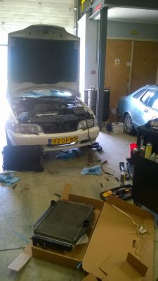 WP_20150802_005~0.jpg