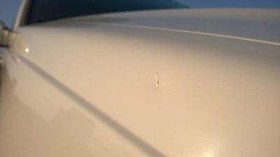 WP_20150812_011.jpg