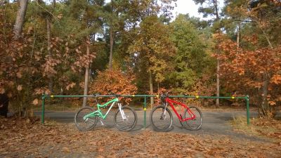 WP_20151030_001.jpg