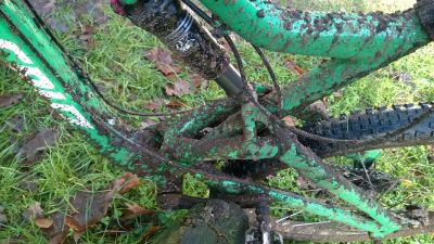 WP_20151128_004.jpg