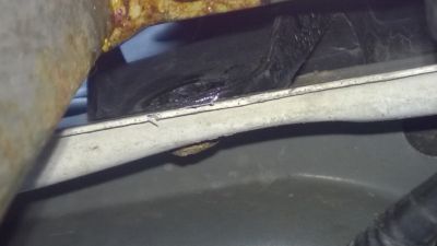 WP_20151205_005.jpg