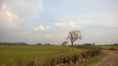 WP_20160306_011.jpg
