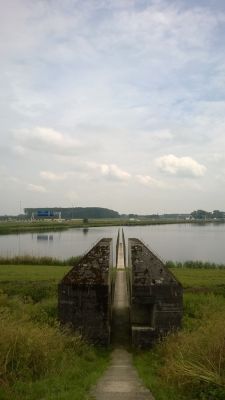 WP_20160611_016.jpg