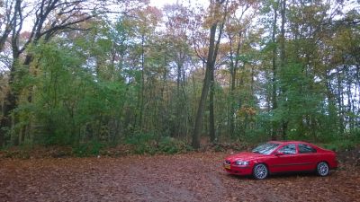 WP_20161113_001.jpg