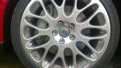 WP_20170320_001.jpg
