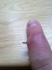 190620111112.jpg