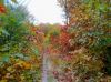201020122027_28Custom29.jpg
