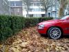 21112009320medium.jpg