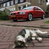 Filename=IMG_1738.JPG
Filesize=313KiB
Dimensions=756x756
Date added=Aug 22, 2018 IMG_1738.JPG