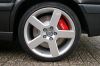 IMG_2216_(Medium).JPG