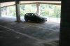 IMG_3194_(Medium).JPG