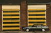IMG_3512_(Medium).JPG