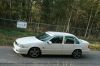 IMG_4201_(Medium).JPG