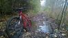 WP_20131116_004.jpg