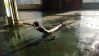 WP_20131206_003.jpg