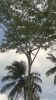 WP_20150302_12_19_42_Pro.jpg