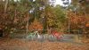 WP_20151030_001.jpg